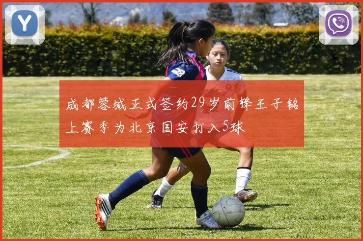 成都蓉城正式签约29岁前锋王子铭上赛季为北京国安打入5球
